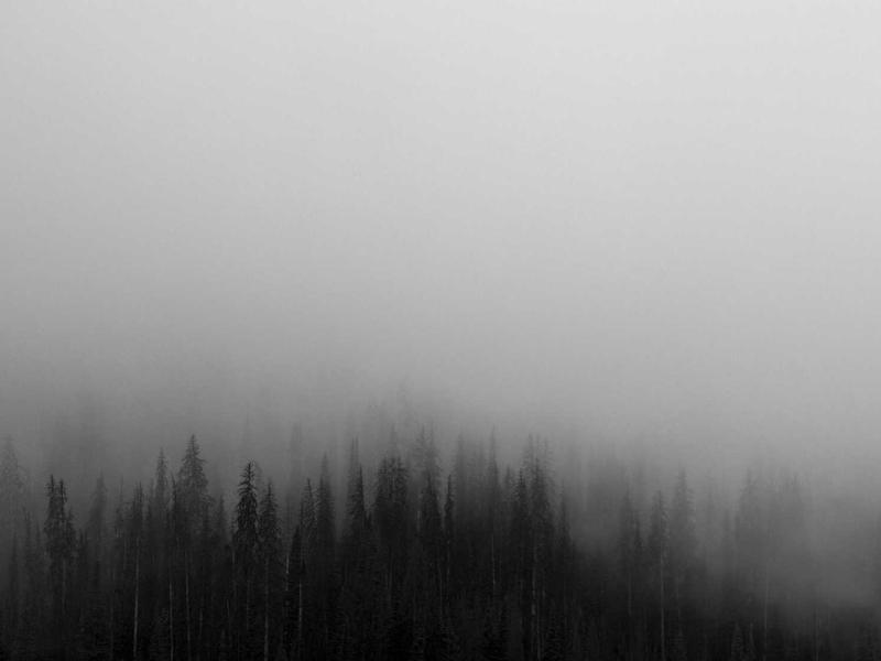 苏州园林<br>warnesu.cn 移步换景借景